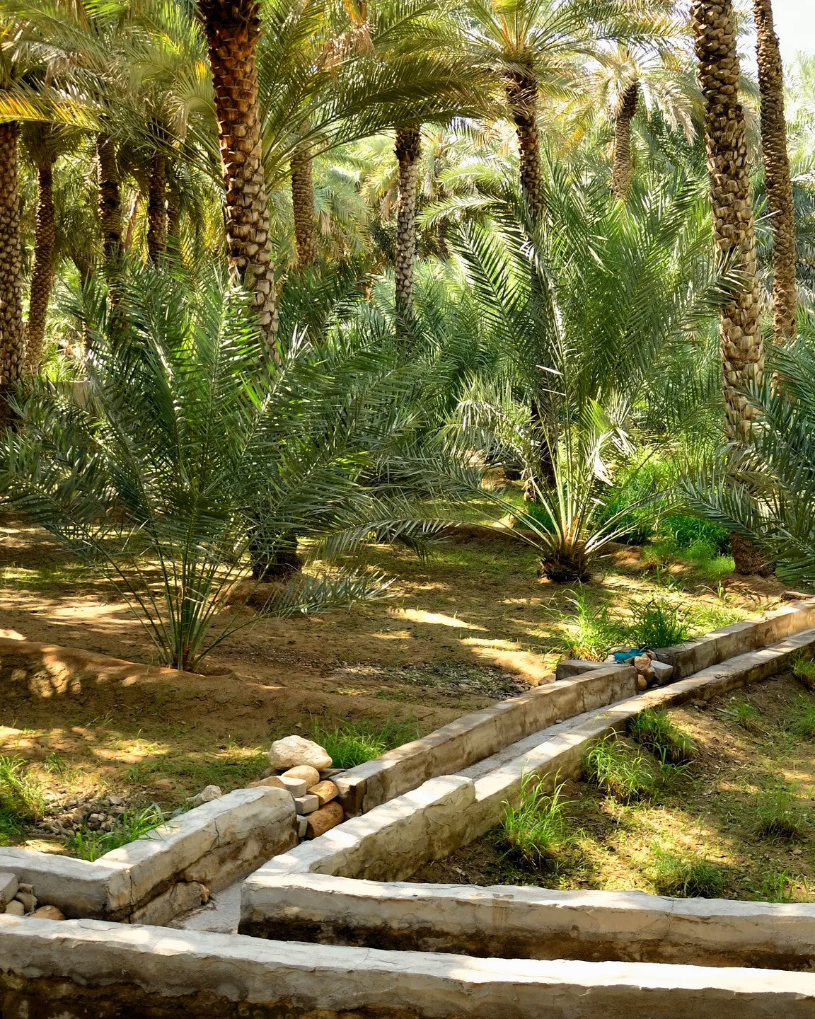 Al Ain City Tour