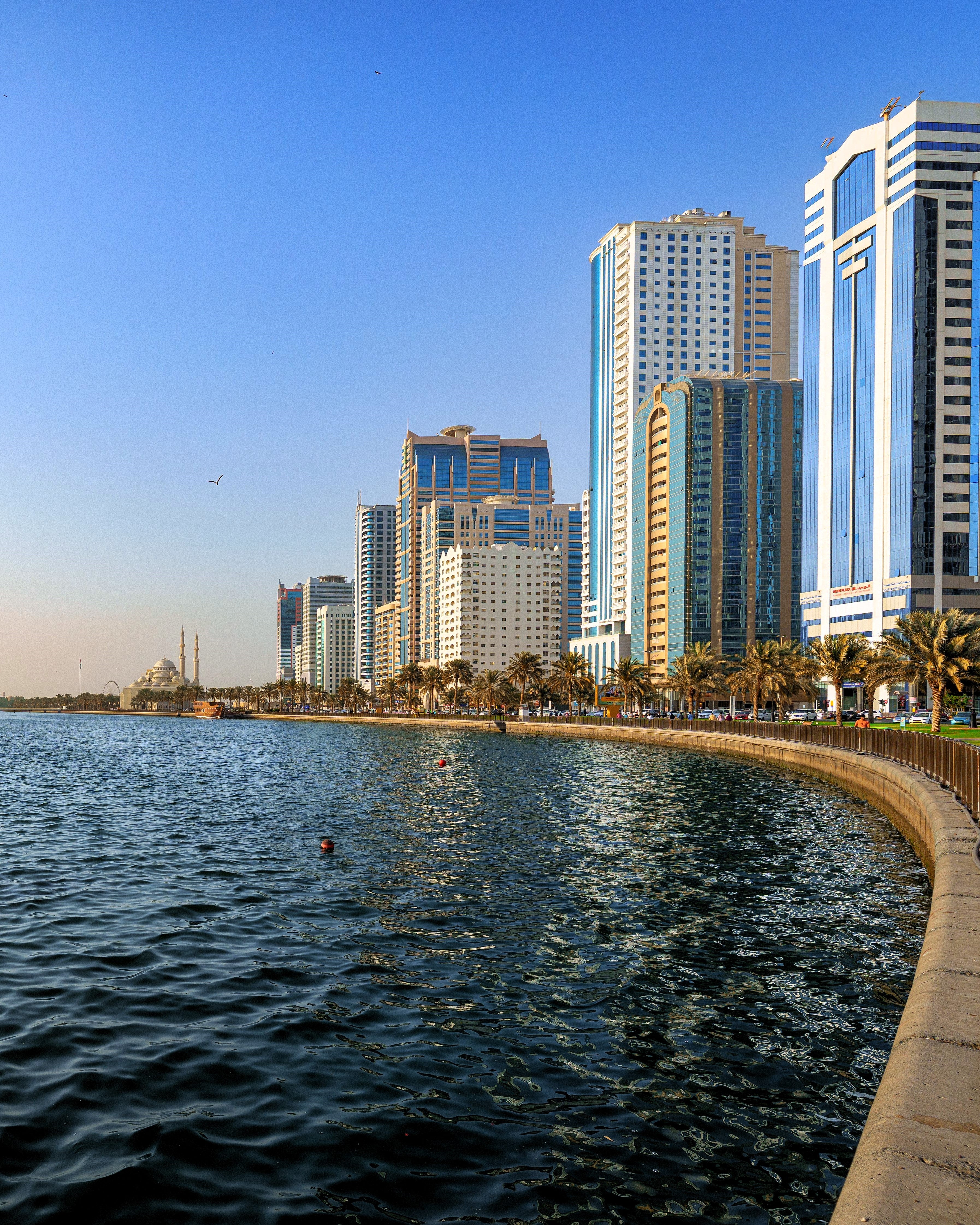 A scenic waterfront view of a curved concrete promenade lined with palm trees and modern high-rise buildings under a clear blue sky.