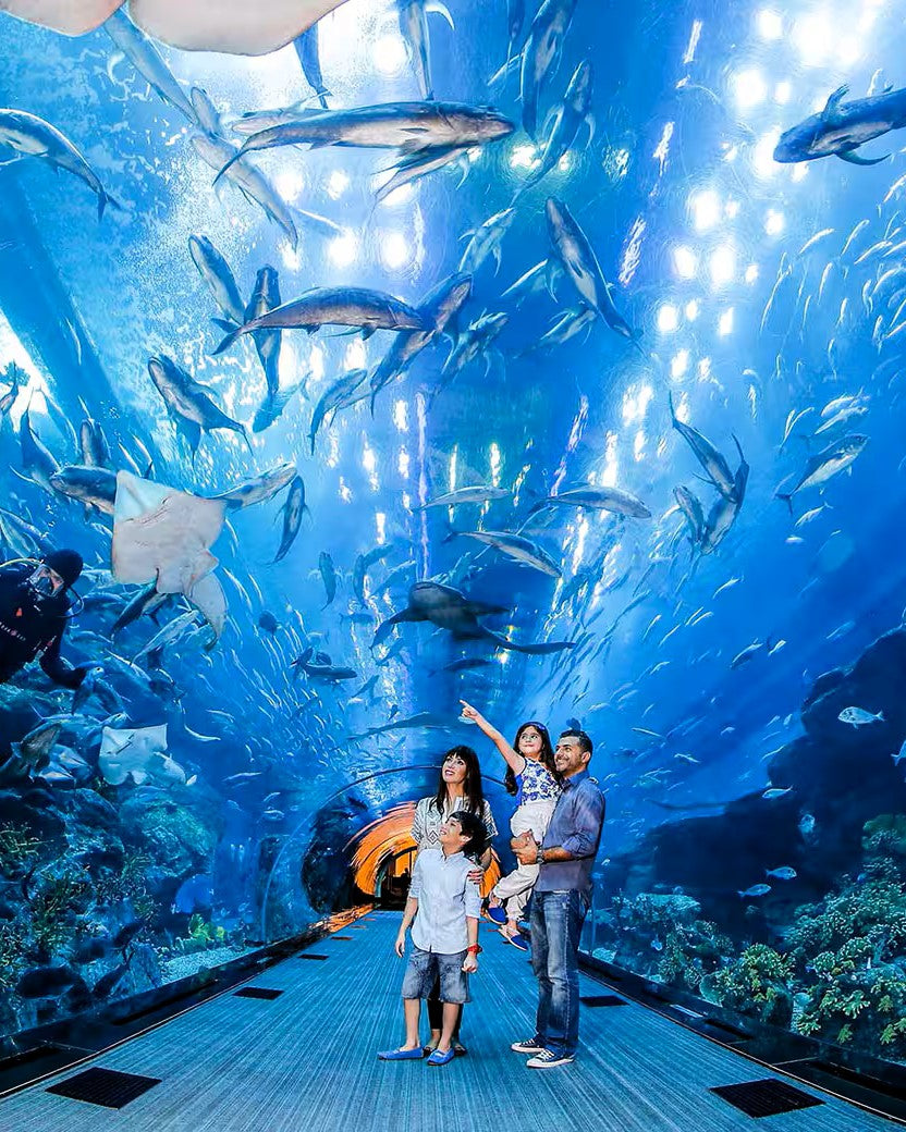 Dubai Modern City Tour